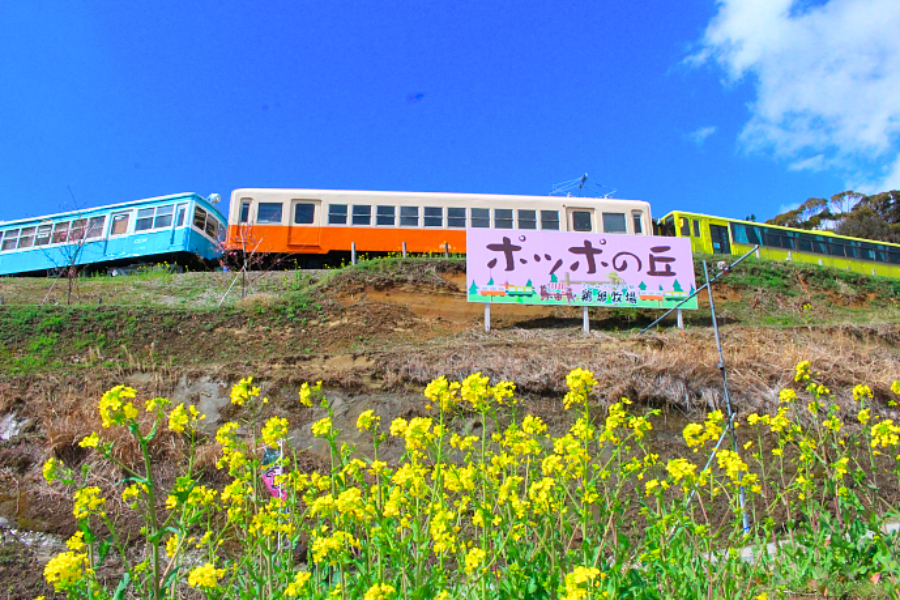 ▲「ポッポの丘」は、引退した様々な車両が20両以上展示されている、鉄道ファンにもたまらないスポット