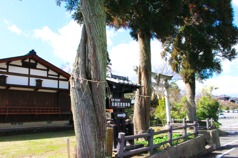 ▲大多喜駅から徒歩5分ほどの「青龍日吉神社」は、ねじれた杉が3本もあるパワースポット